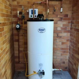 CALENTADOR ZEUS DE 60 Gl